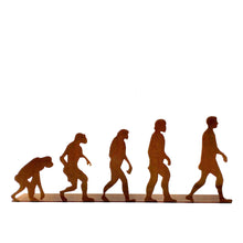 Cargar imagen en el visor de la galería, Evolución