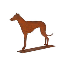 Load image into Gallery viewer, Greyhound