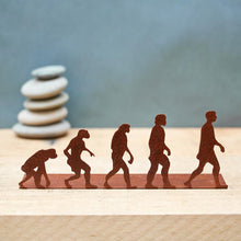 Cargar imagen en el visor de la galería, Evolución